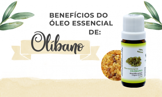 Beneficios do Óleo Essencial de Olíbano Harmonie Aromaterapia